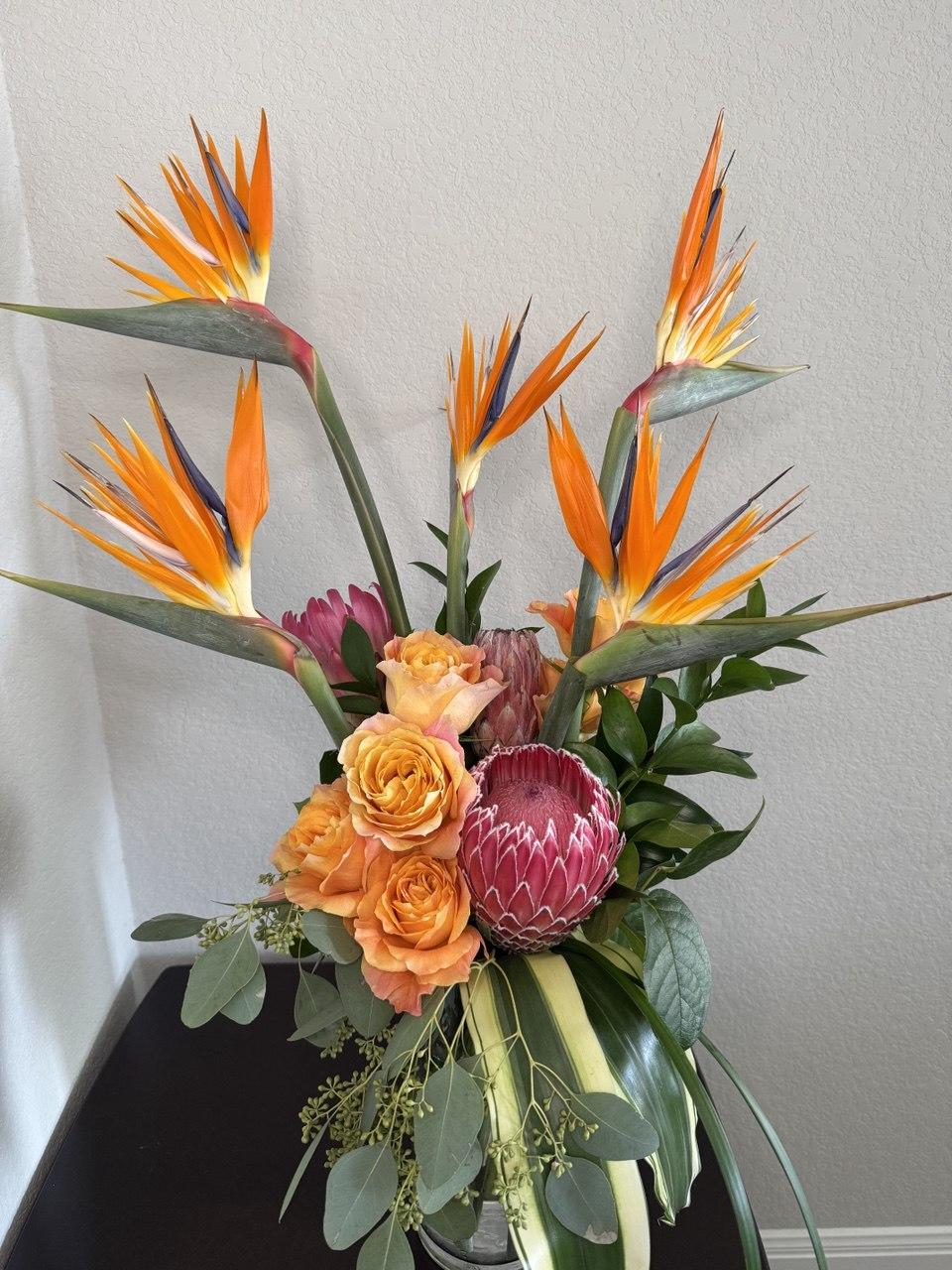 Tropic Protea King - image 2