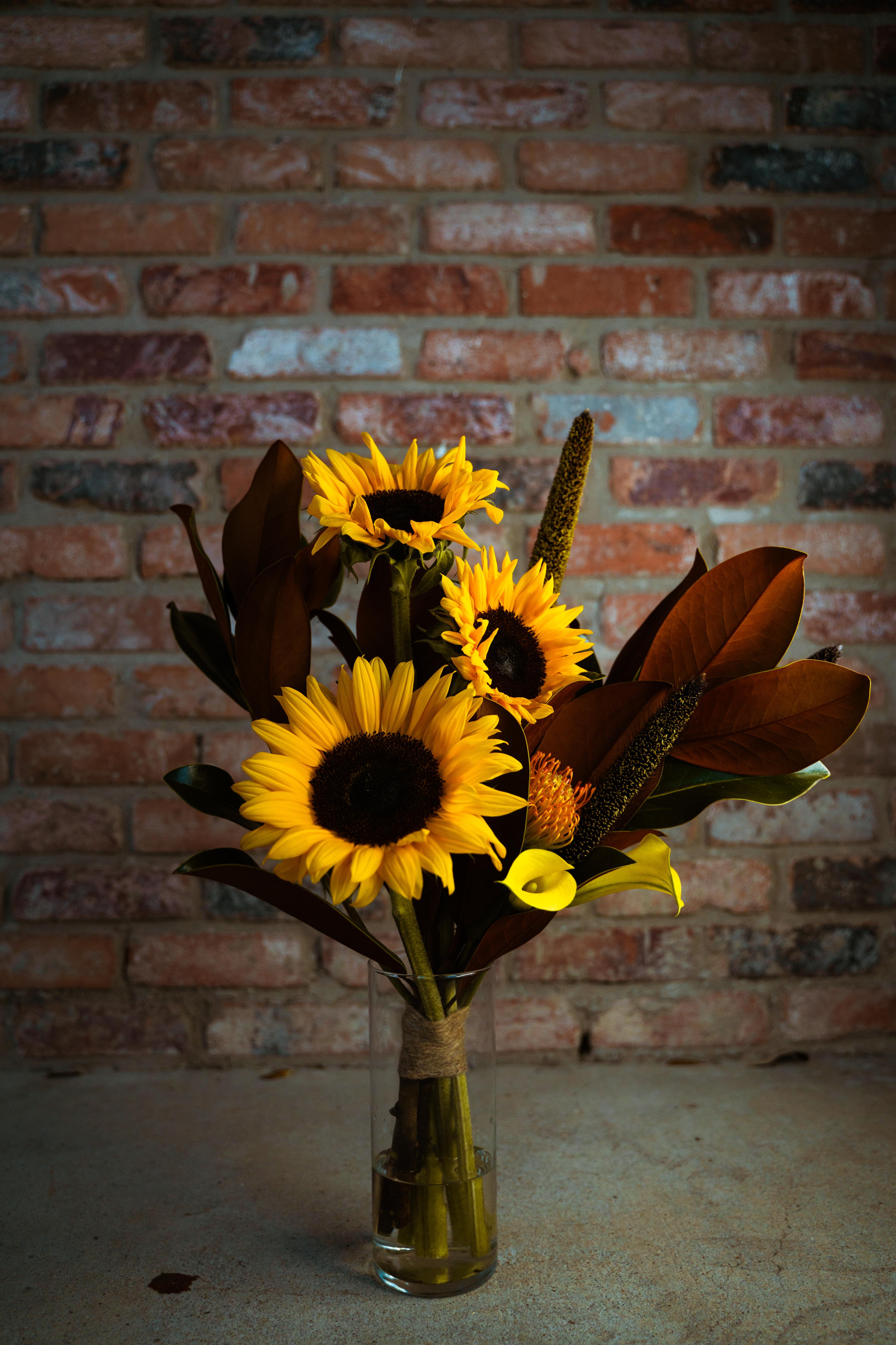 Blooming Sunshine - image 2