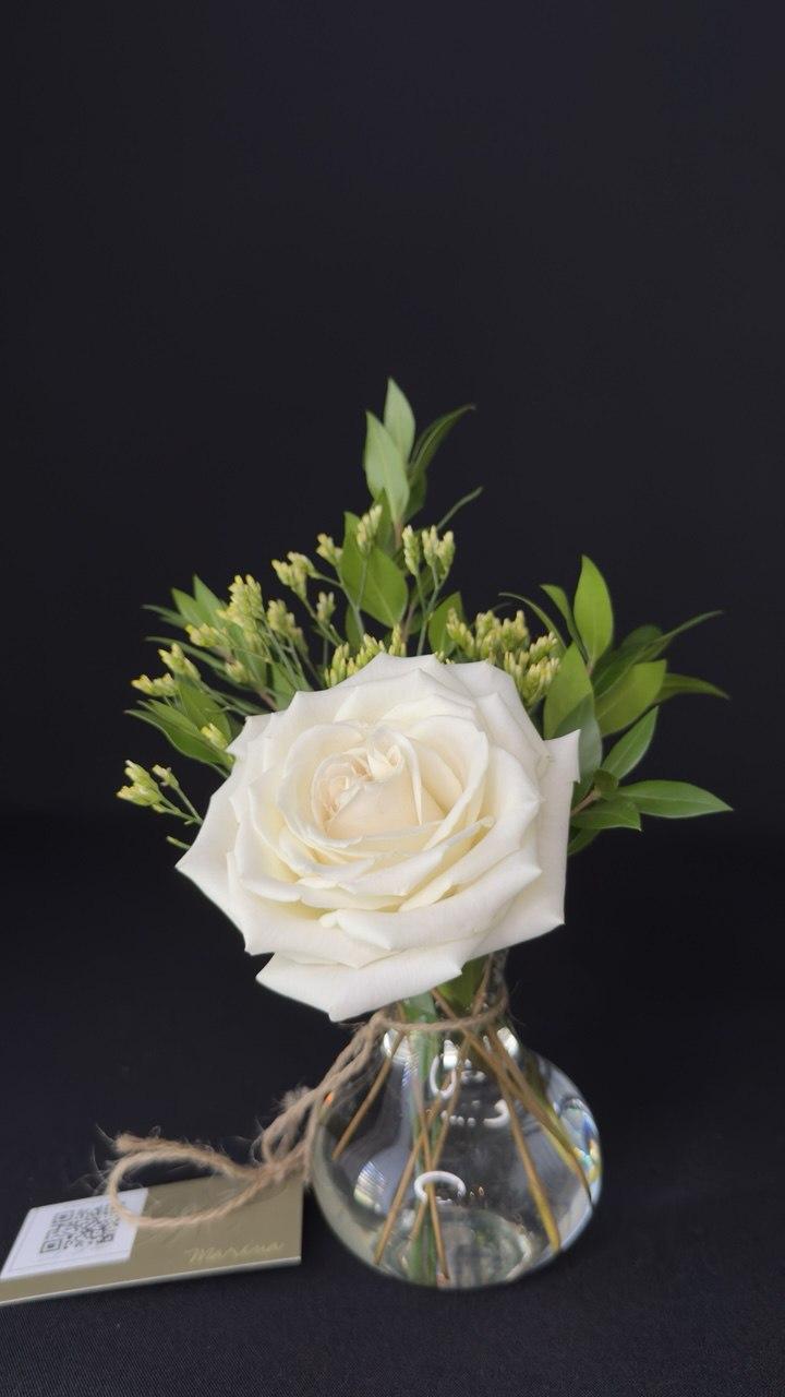 Ocean Elegance - image 2