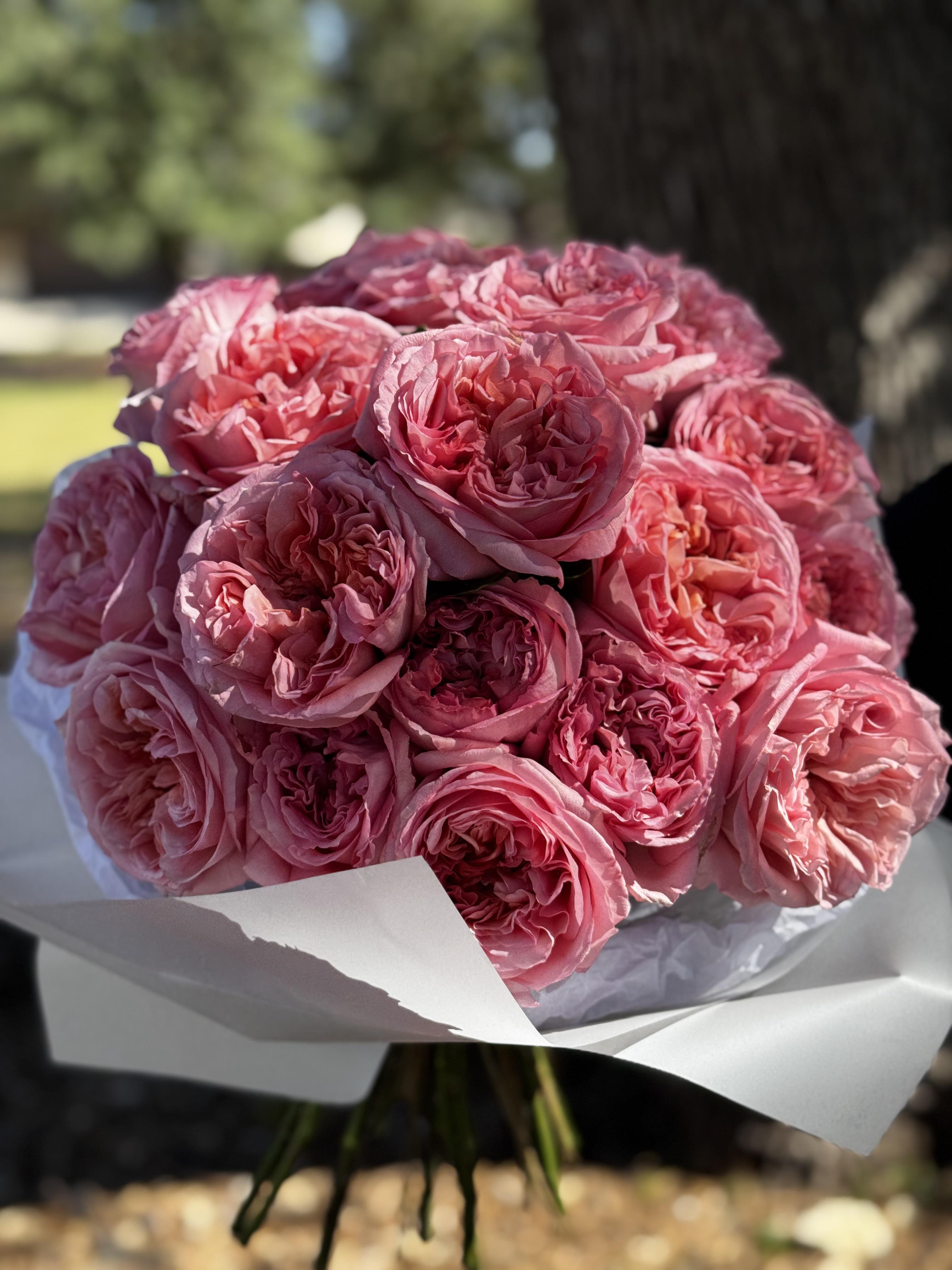 Grace in Bloom - image 8