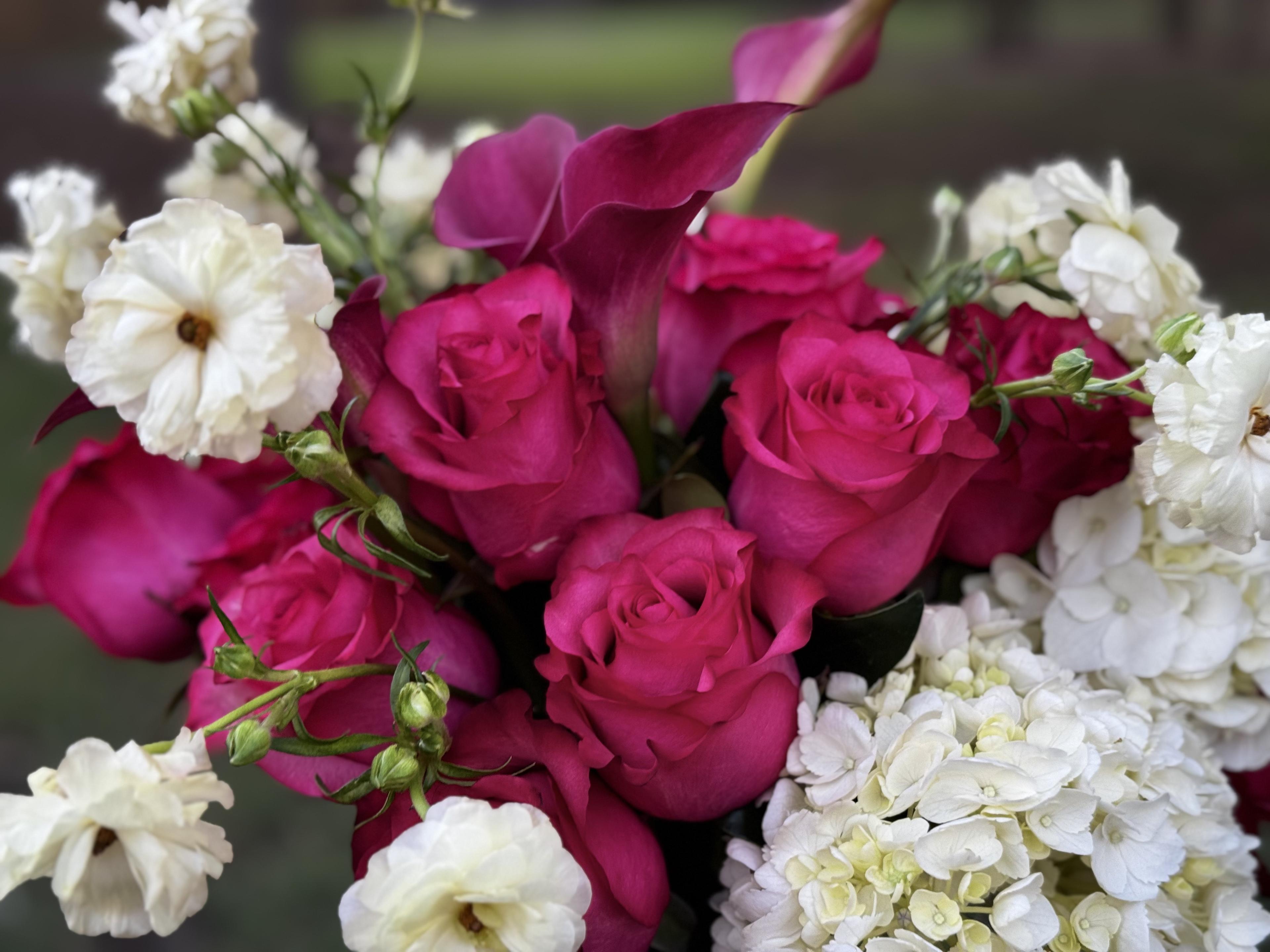 Fuchsia Elegance - image 7