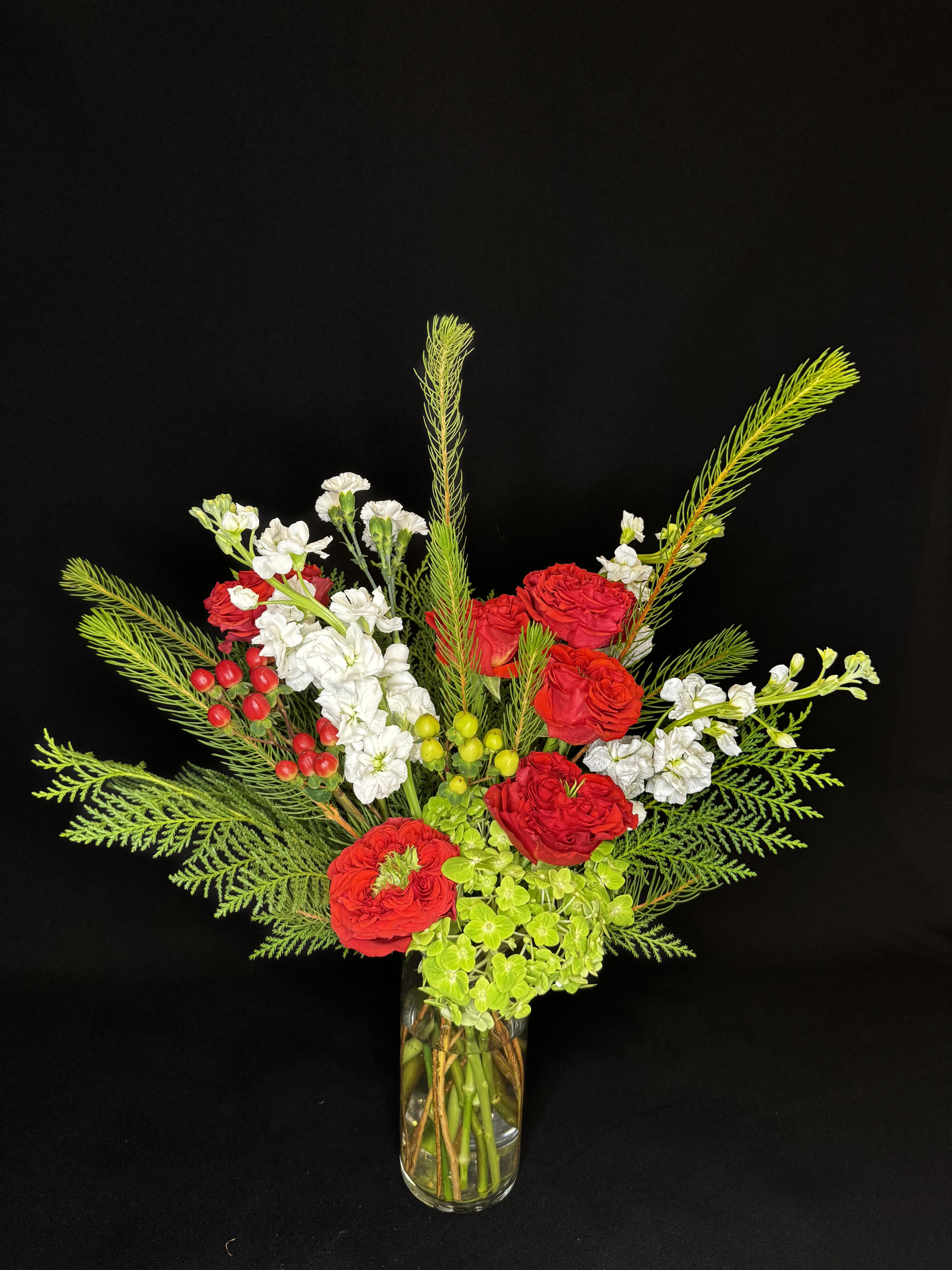 Texas Scarlet Christmas - image 4