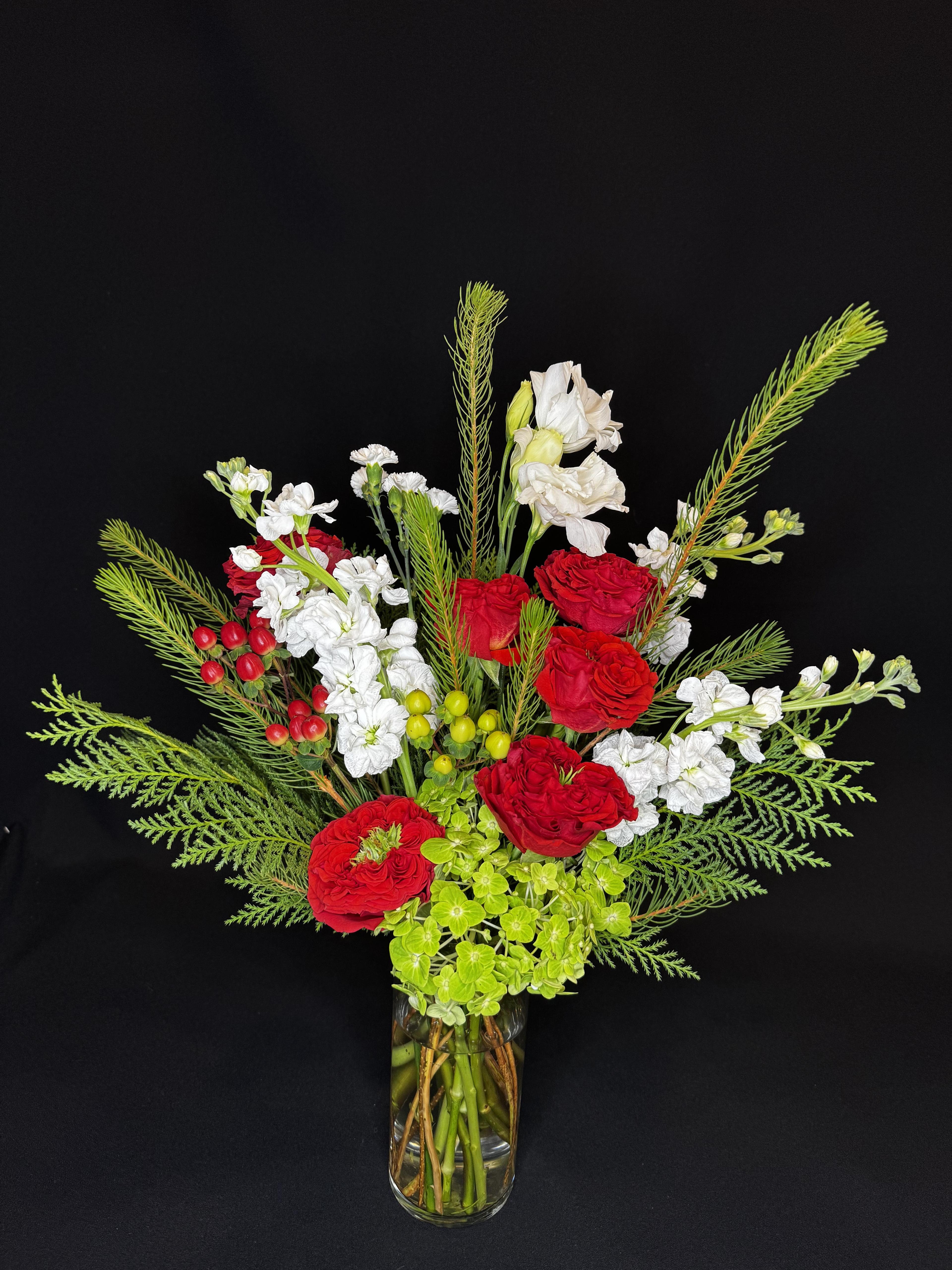 Texas Scarlet Christmas