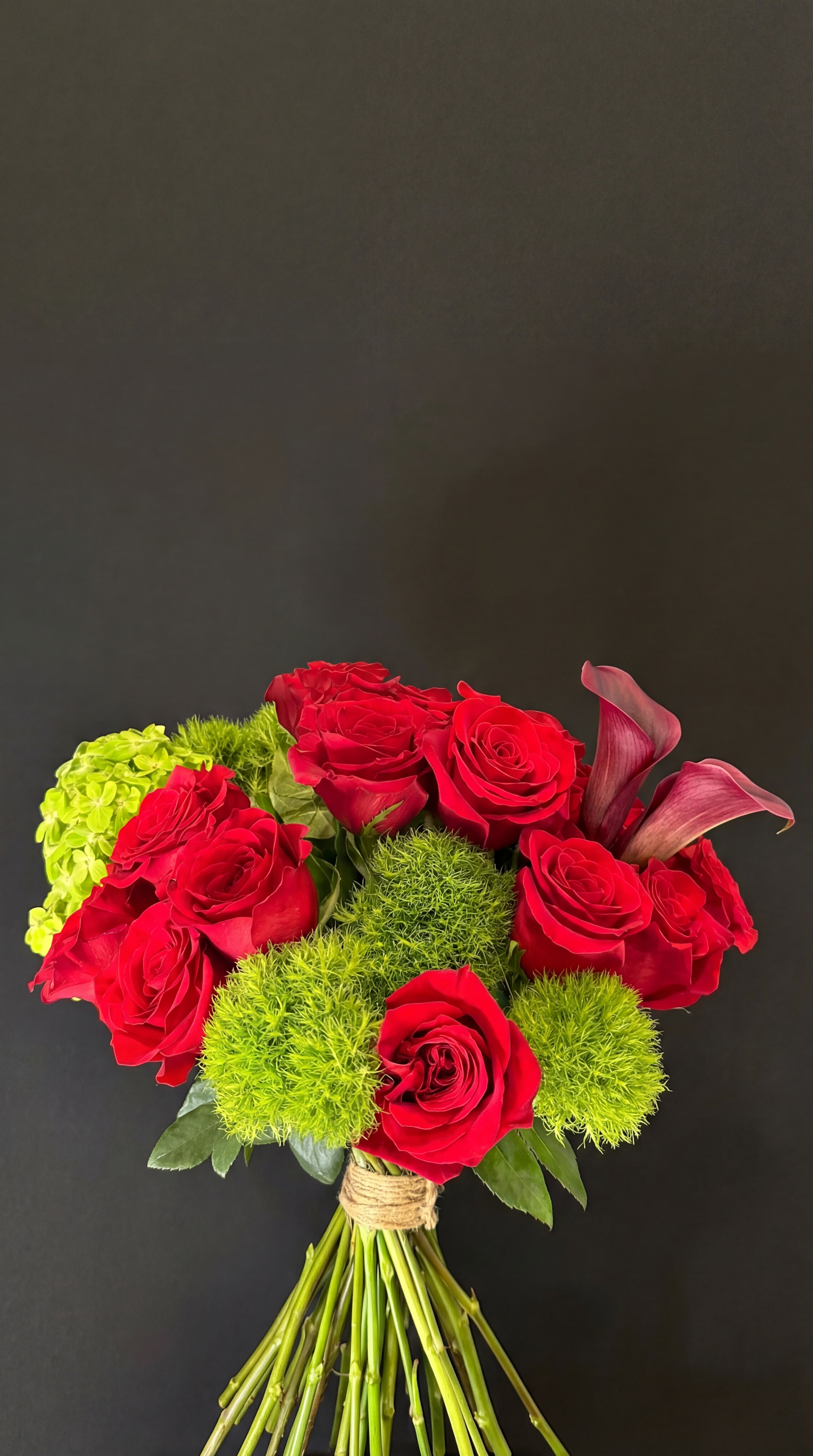 Velvet Fire - image 3